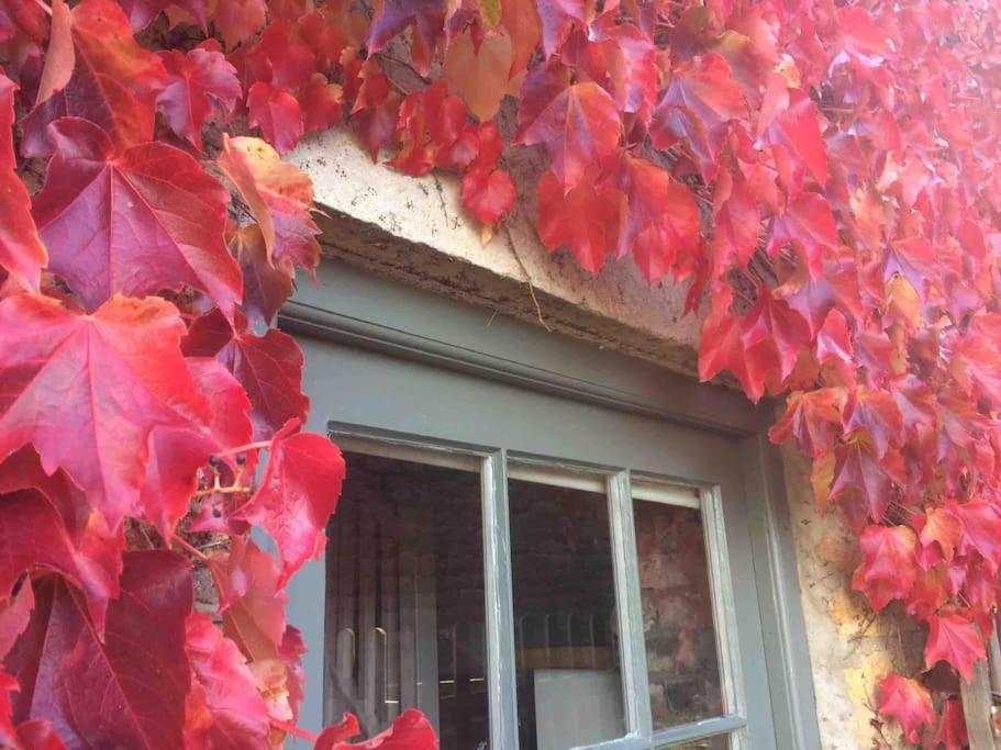 Blacksmith'S Barn - Cosy, Chilled & Dog Friendly. Wykeham  Exteriör bild